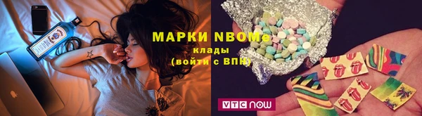 тгк Володарск
