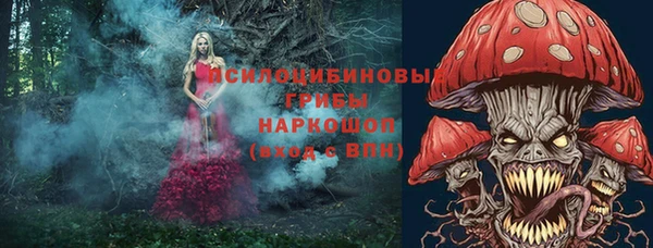 тгк Володарск
