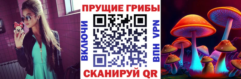 Псилоцибиновые грибы Psilocybe  omg ONION  Георгиевск 