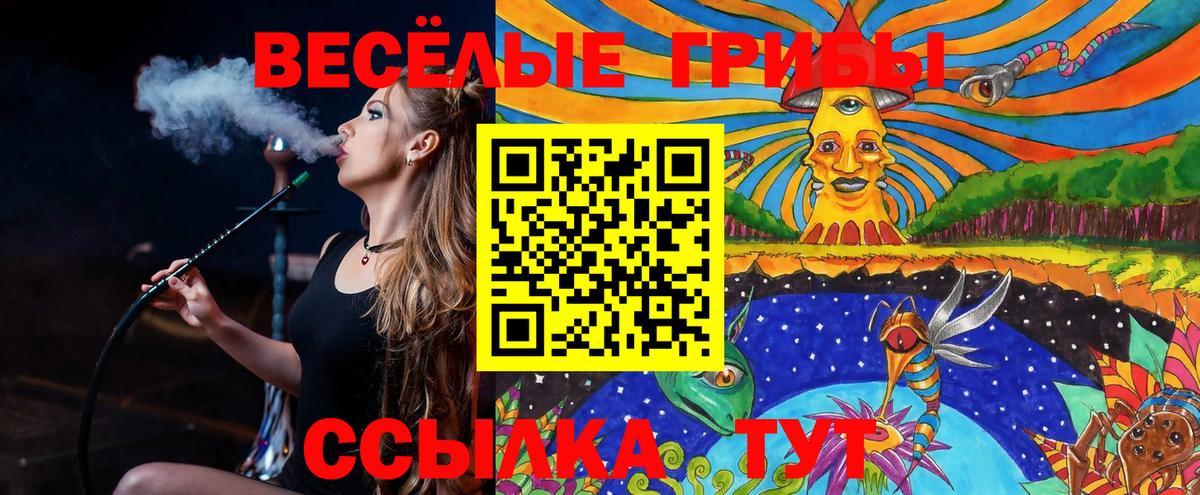 Галлюциногенные грибы MAGIC MUSHROOMS  Галлюциногенные грибы GOLDEN TEACHER  Вход с VPN  Георгиевск 